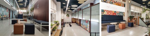AIP Language Institute