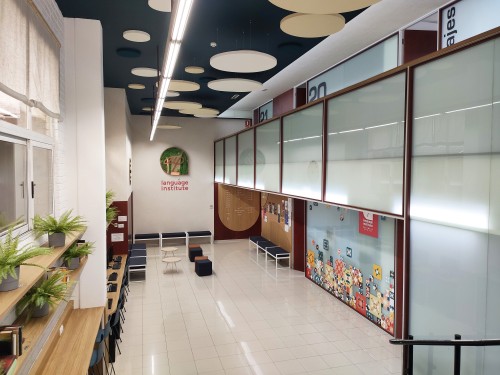 AIP Language Institute