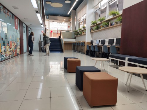 AIP Language Institute