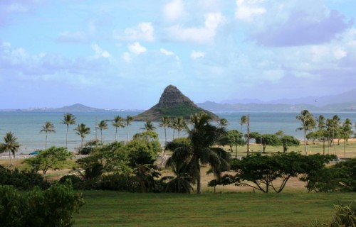 ICC Hawaii
