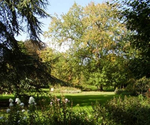 CIE Oxford