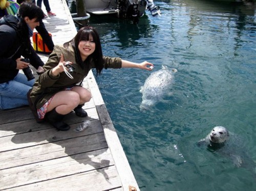 Global Village English Centres Victoria