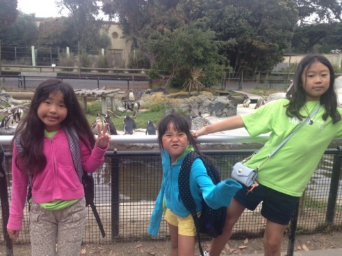 Tamwood San Francisco Camp