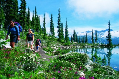 Tamwood Whistler